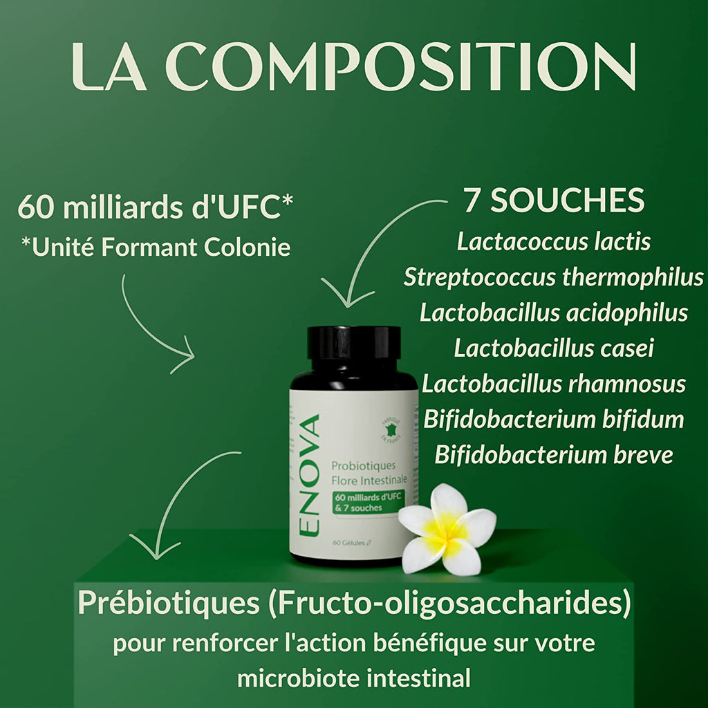 PROBIOTIQUE FLORE INTESTINALE - Laboratoires Enova